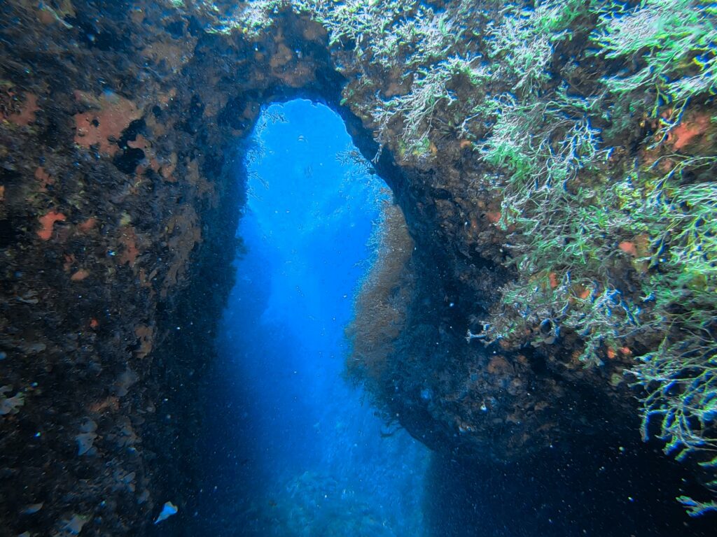Photo of an tunnel at Zurzieb reef